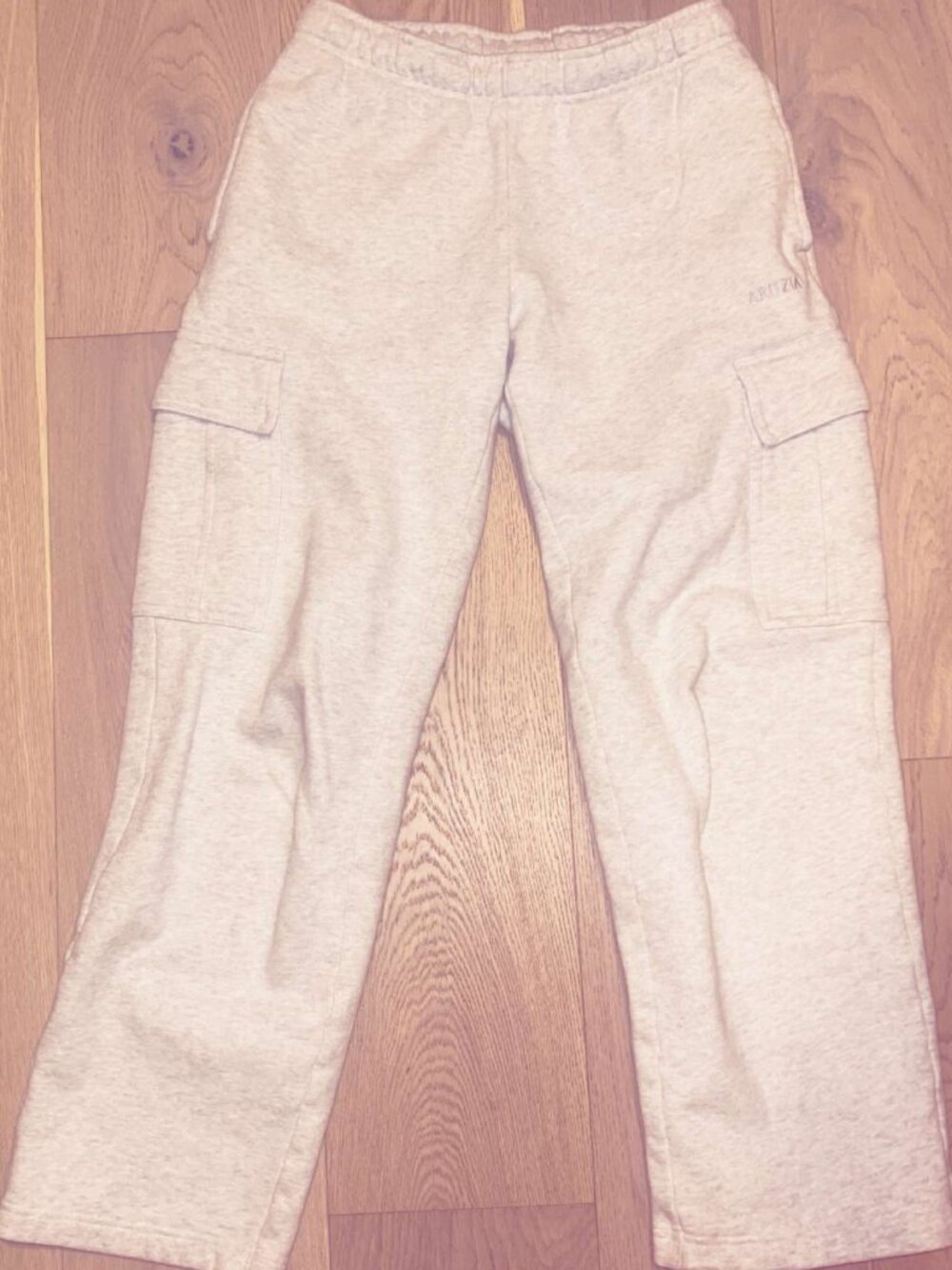 Aritzia Cargo Sweats